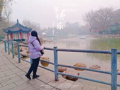 -莲湖公园