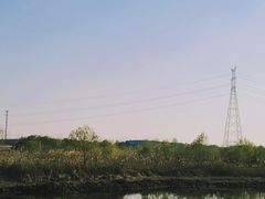 -同里国家湿地公园
