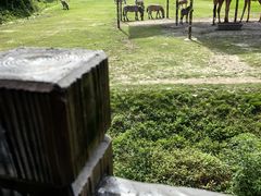 -宁波野生动物园