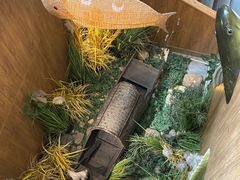 -7017浙菜•建德味(中财店)
