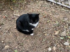 -北京西山国家森林公园