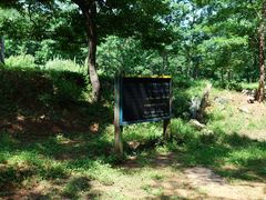 -金石滩蓝莓谷庄园