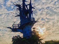 -芒洲湿地公园