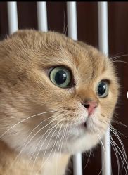 -时尚工厂·科学染发