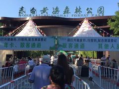 -黄海国家森林公园