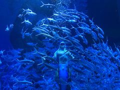 -波塞冬旅游度假区