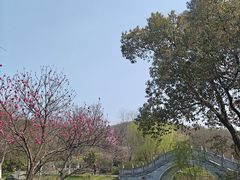 -南山风景名胜区