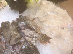 -东国海鲜火锅城(氹仔店)