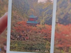 -岳麓山风景名胜区