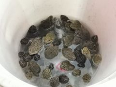 -荔城生鲜盛宴(番禺旗舰店)