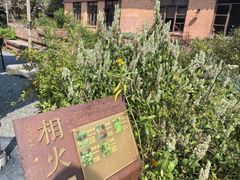 -华农酸奶文化馆