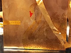 -BLACKSWAN黑天鹅(环球店)