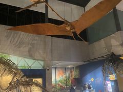 -湖南省地质博物馆