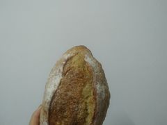 无花果面包-老梦面包 CHEZMOREL(三源里店)