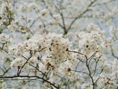 -西北湖绿化广场