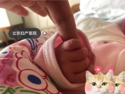 -北京妇产医院(东院)