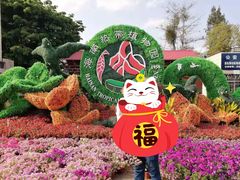 -海花岛旅游度假区