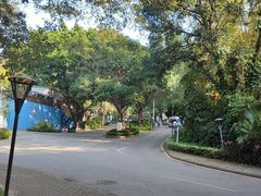 -白云湖畔酒店-湖畔餐厅