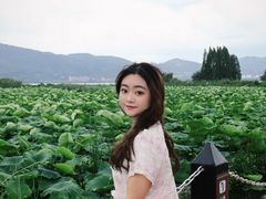 -怡得观滇餐厅·地道昆明菜·1996(海埂大坝店)