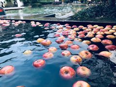 -深业半汤御泉庄温泉
