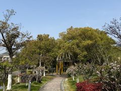 -宁波九龙湖开元度假村