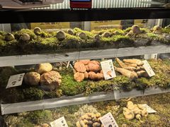 -滇野云南野生菌餐厅(陕西南路店)