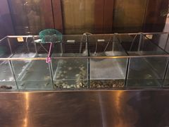 水产区-三亚海韵度假酒店·渔人码头海鲜火锅BBQ自助餐厅·落日吧