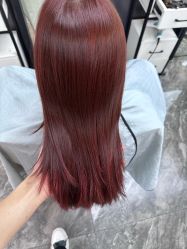 -藤野造型