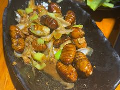 -丹东特色烤肉(学府路一部店)