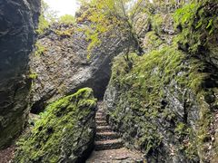 -神农架景区