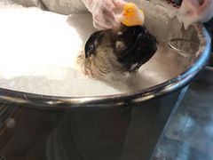 -PETKIT小佩宠物·低压洗护(国顺东路店)