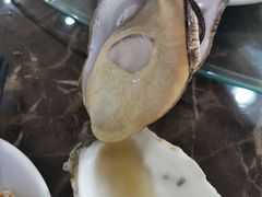 -蚝专家(北滘店)