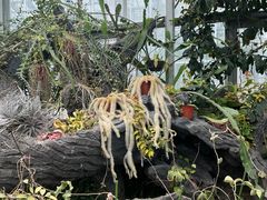 -国家植物园南园