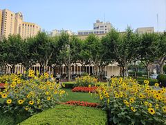 -徐家汇天主堂
