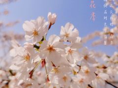 -幕燕滨江·燕子矶公园