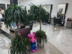 -ON STAR SALON