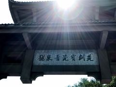 -史记安仁鱼头(浙闽赣食用菌交易中心店)