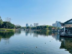 -荔湾湖公园