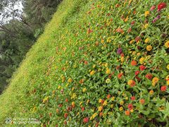 -森林公园(尖草坪区)