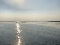 -微山湖红荷湿地景区