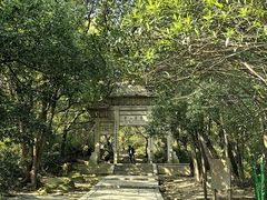 -灵岩山风景区