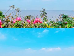 -上海滨江森林公园