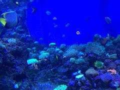 -成都浩海立方海洋公园