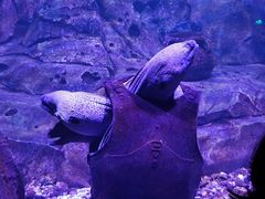 -波塞冬海底世界
