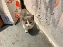 -IFIF 如果花園(宽厚里店)
