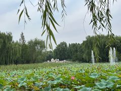 -东升八家郊野公园