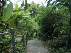 android_upload_pic-七仙岭温泉国家森林公园