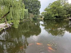 -西湖游船