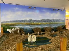 -延庆地质公园博物馆