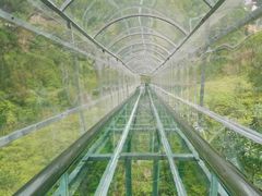 -汕尾铜鼎山旅游区